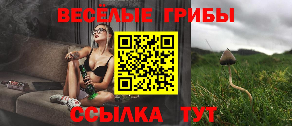 Нефтекамск  закладки  Вход с VPN  Галлюциногенные грибы Cubensis 