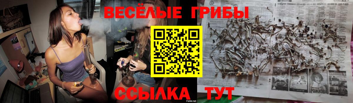 Бошки Шишки  Нефтекамск  Магазины продажи наркотиков  ГАШИШ  Меф МЯУ МЯУ   Кокаин  Меф МЯУ МЯУ  Вход с VPN 